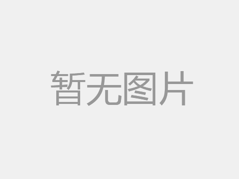 造紙廠污泥脫水